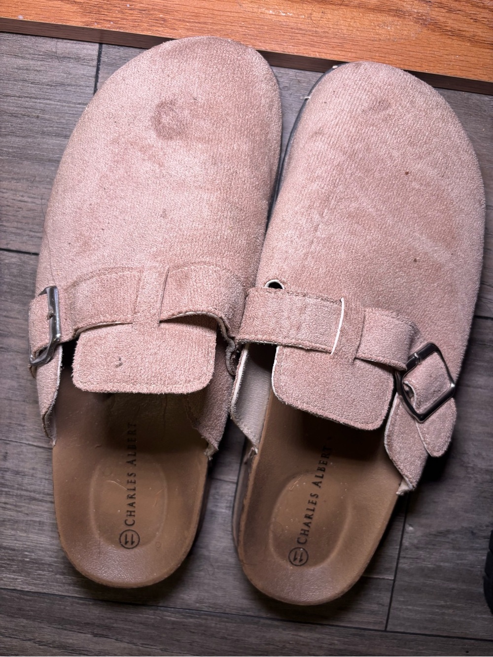 Charles Albert Blush Suede Buckle Mules